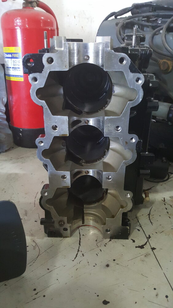 Engine after - clean and protected with Salt to Go